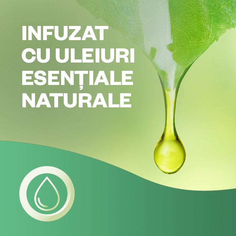 Odorizant de cameră kit spray automat fără aerosoli Air Wick, Buchet de Iasomie, 228 ml – imagine 9